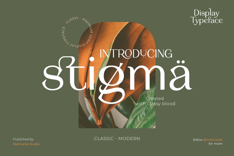 Stigma - Display Serif Font example image 1