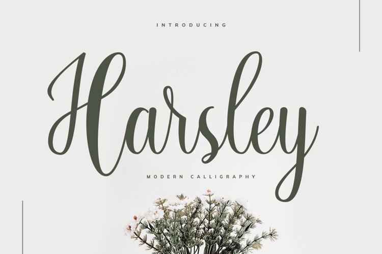 Harsley Script example image 1