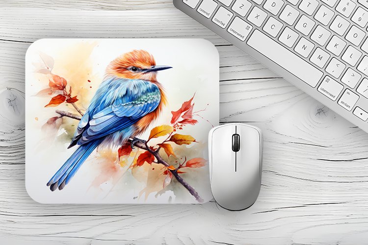 Bird PNG Image 15