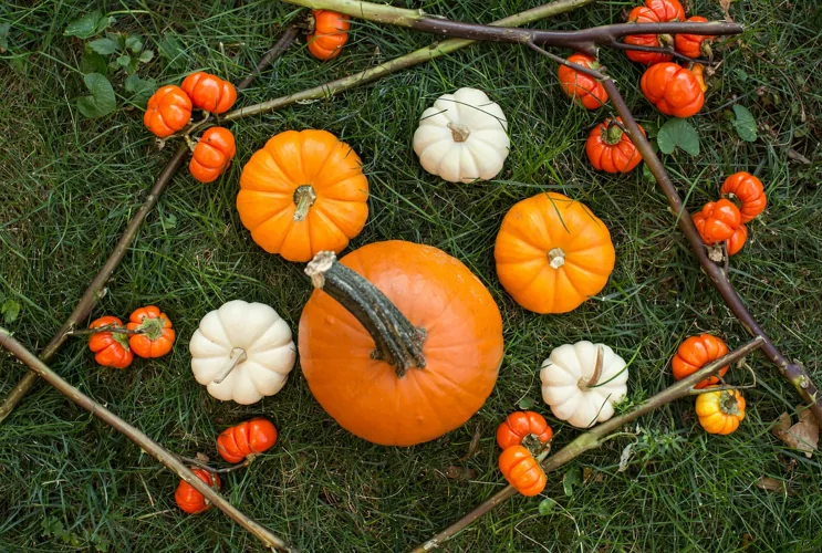 Different type of pumpkin 