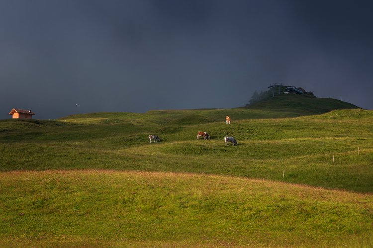 Seiser Alm on a dramatic and gloomy day example image 1