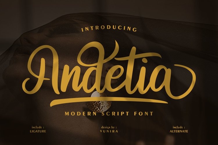 Andetia | Modern Script Font example image 1
