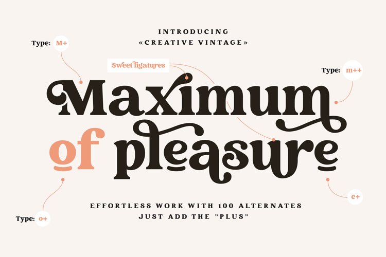 Creative Vintage Serif & Script fonts