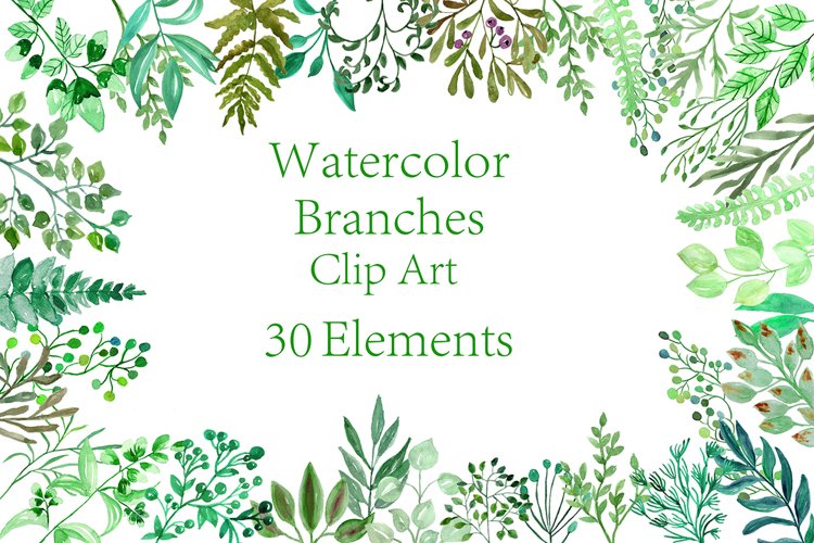 Greenery Clipart Image 14