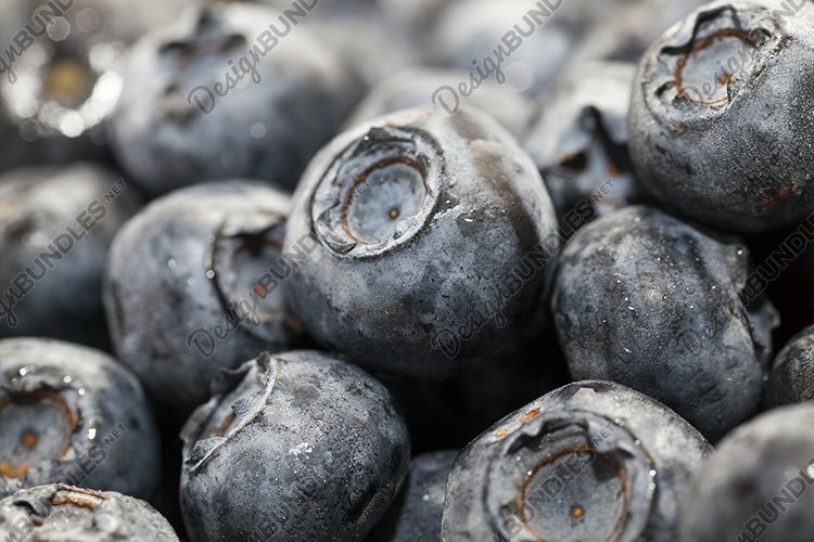 Blueberries Clipart Image 19
