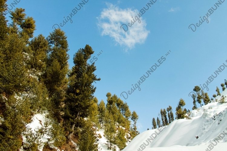Breathtaking view of the trees on the snow-covered example image 1