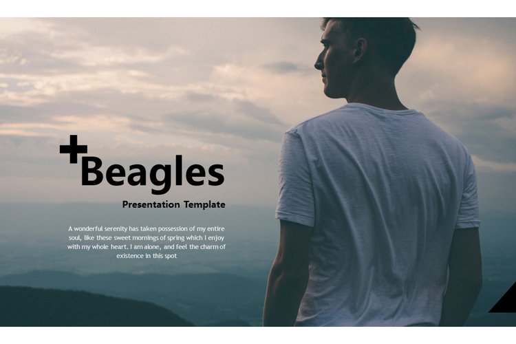 Beagles Presentation Template example image 1