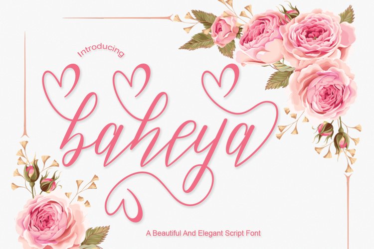 baheya example image 1