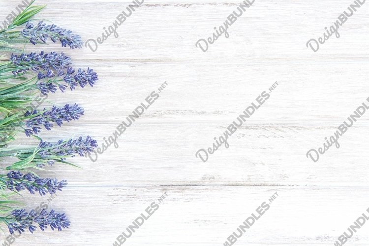 Lavender Background Image 2