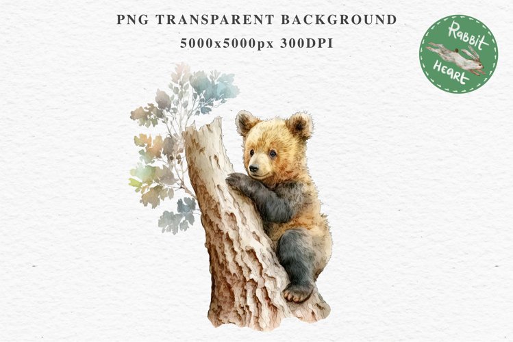 Bear Drawing Image 16