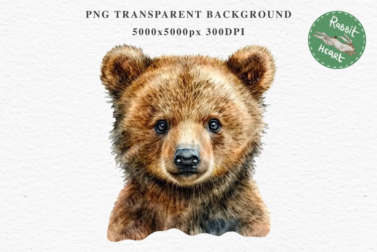 Bear Drawing Image 15