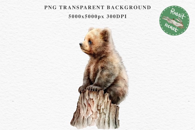 Bear Drawing Image 22