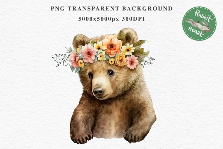 Bear Drawing Image 19