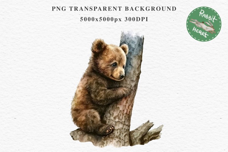 Baby Bear Forest Animals Clipart PNG Scrapbooking Nursery