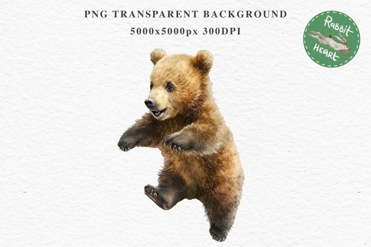 Bear Drawing Image 17