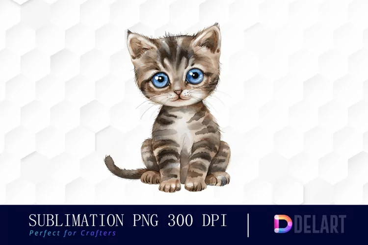 Baby Cat Watercolor Clipart