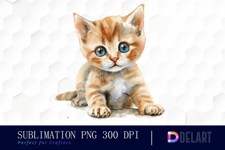 Baby Cat Watercolor Clipart