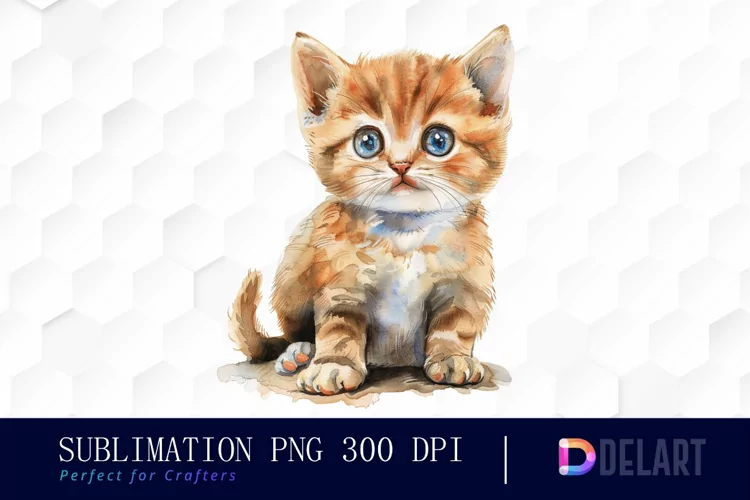 Baby Cat Graphic Clipart