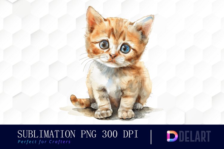Baby Cat Sublimation PNG Clipart