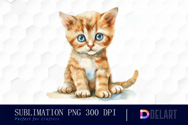 Baby Cat Graphic Clipart