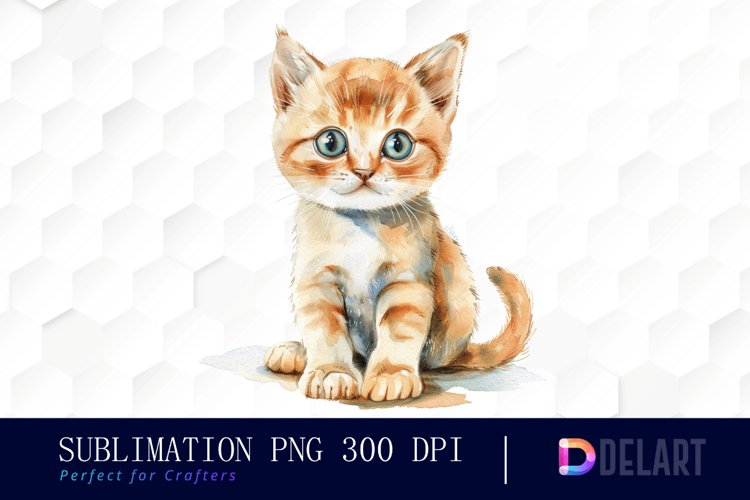 Baby Cat Watercolor Clipart