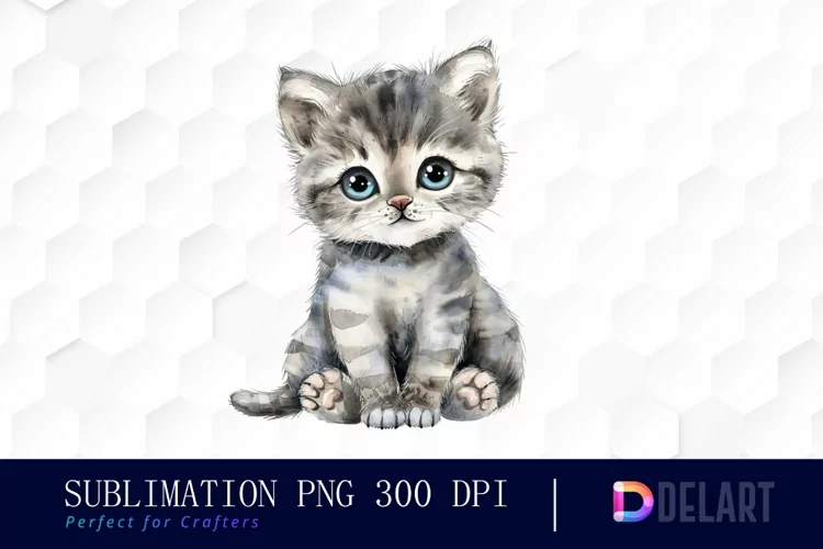 Baby Cat Illustration Clipart