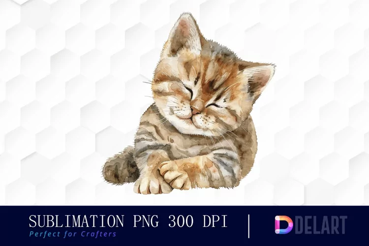 Baby Cat Illustration Clipart