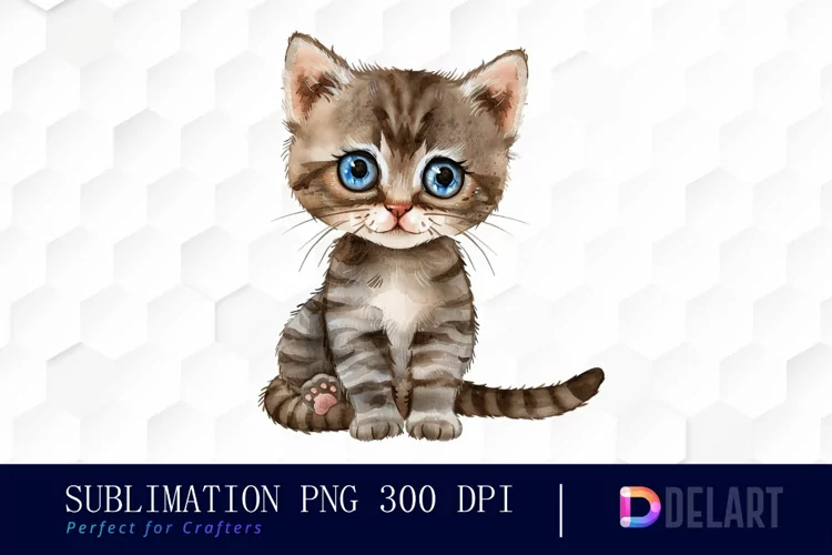 Baby Cat Illustration Clipart