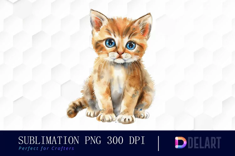 Baby Cat Graphic Clipart