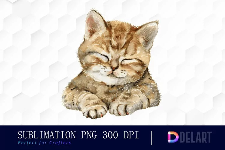 Baby Cat Watercolor Clipart
