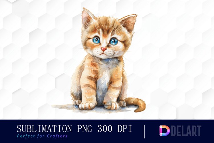 Baby Cat Graphic Clipart
