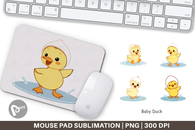 Duck Png Image 12
