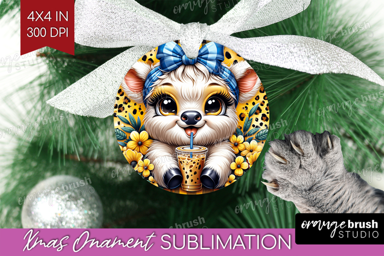 Ornament Png