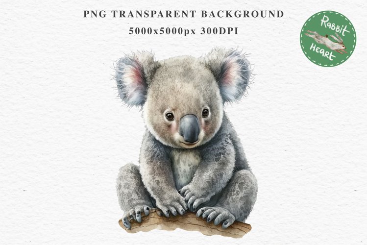 Baby Koala Forest Animals Clipart PNG Scrapbooking Nursery
