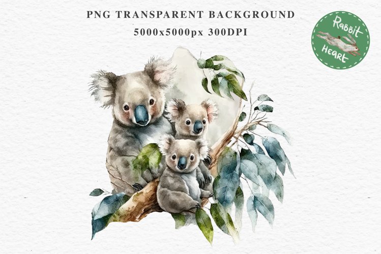 Koala Illustration Image 16