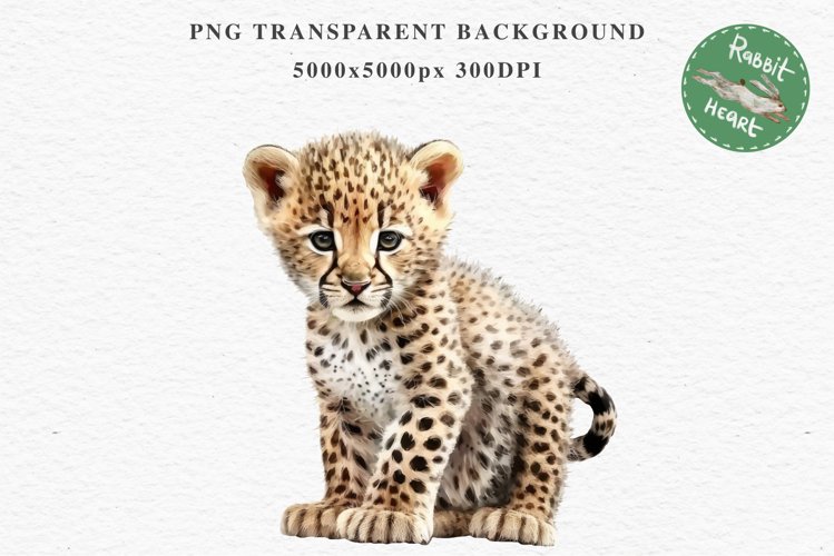 Baby Leopard Safari Animals Clipart African Wild Cats PNG