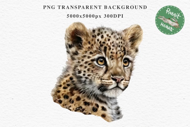 Baby Clipart