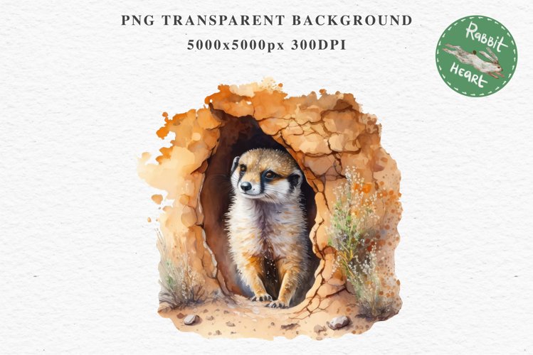 Baby Meerkat Safari Animals Clipart Savanna PNG Nursery Art