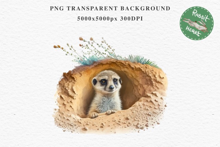 Baby Meerkat Safari Animals Clipart Savanna PNG Nursery Art Image Watercolor  Transparent Print invitation t-shirt designs sublimation kids printable digital watercolor cute African Baby Meerkat, Safari Animals clipart, sublimation nursery drawing Savanna