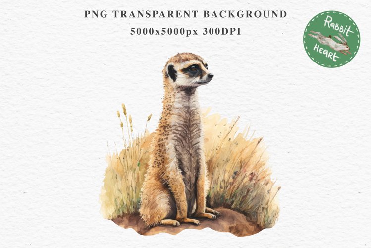 Baby Meerkat Safari Animals Clipart Savanna PNG Nursery Art