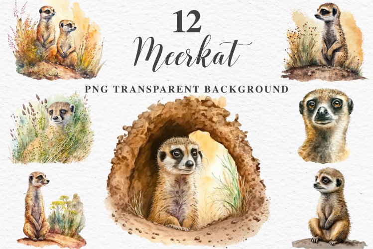 Meerkat Clipart