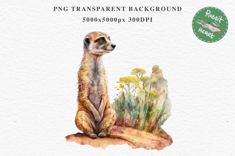 Meerkat Clipart Image 24