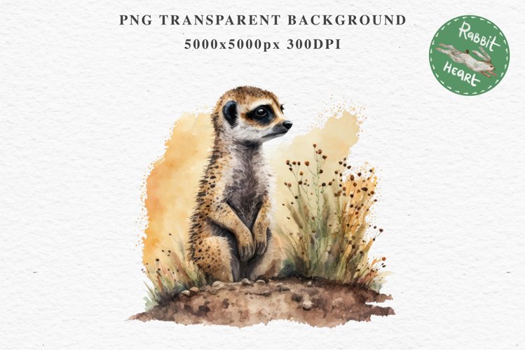 Meerkat Clipart Image 12