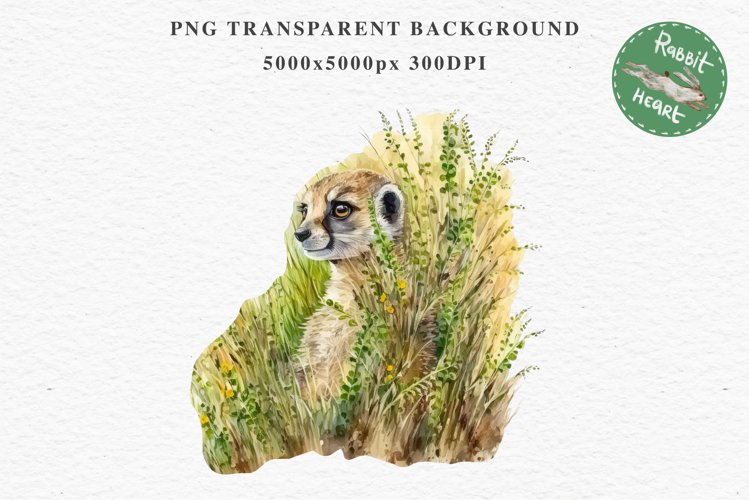 Baby Meerkat Safari Animals Clipart Savanna PNG Nursery Art