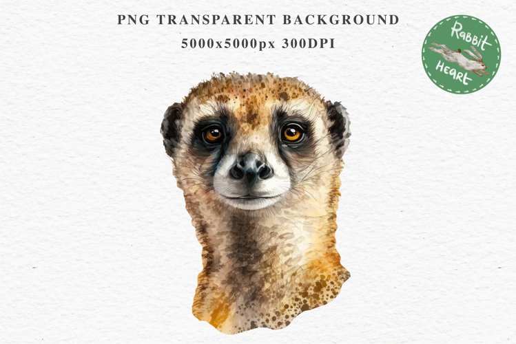 Meerkat Clipart Image 6
