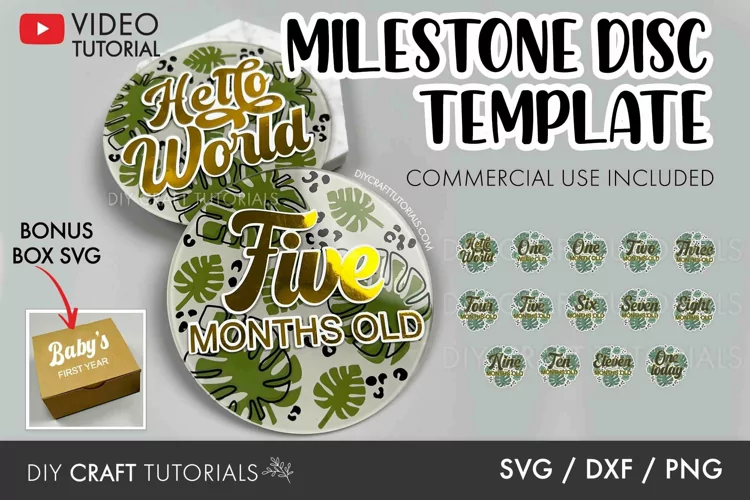Monthly Baby Milestone SVG with Display Box template