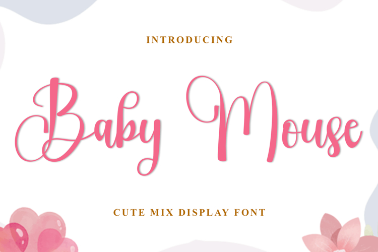 Baby Mouse