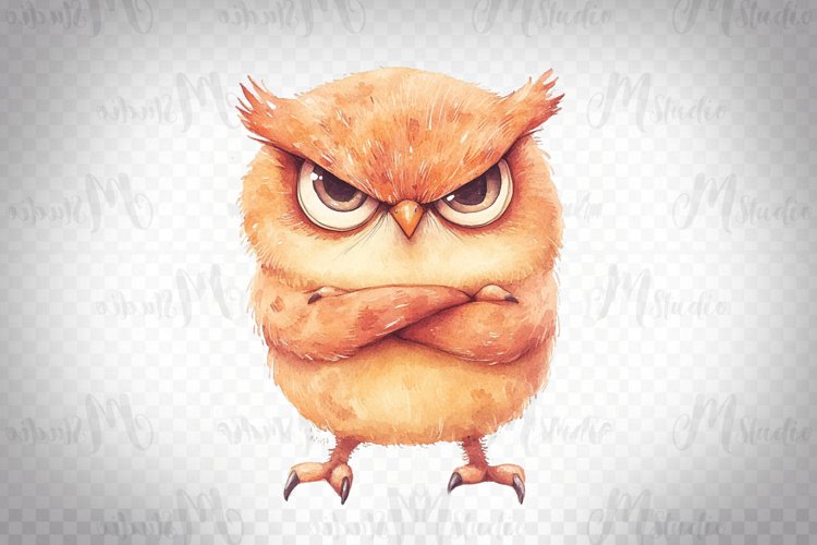 Owl Clipart Image 5
