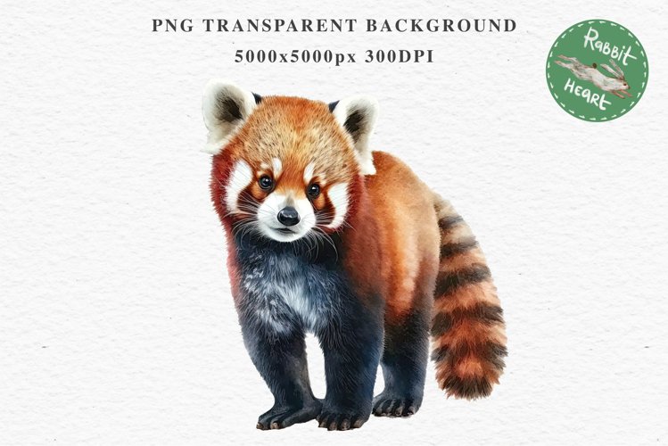 Cute Panda Clipart Image 11