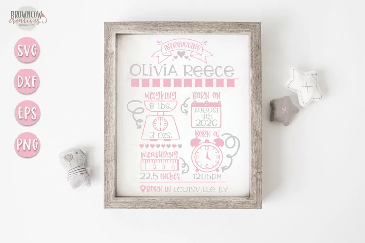 Baby Girl Birth Stats SVG, Birth Stats Announcement Template